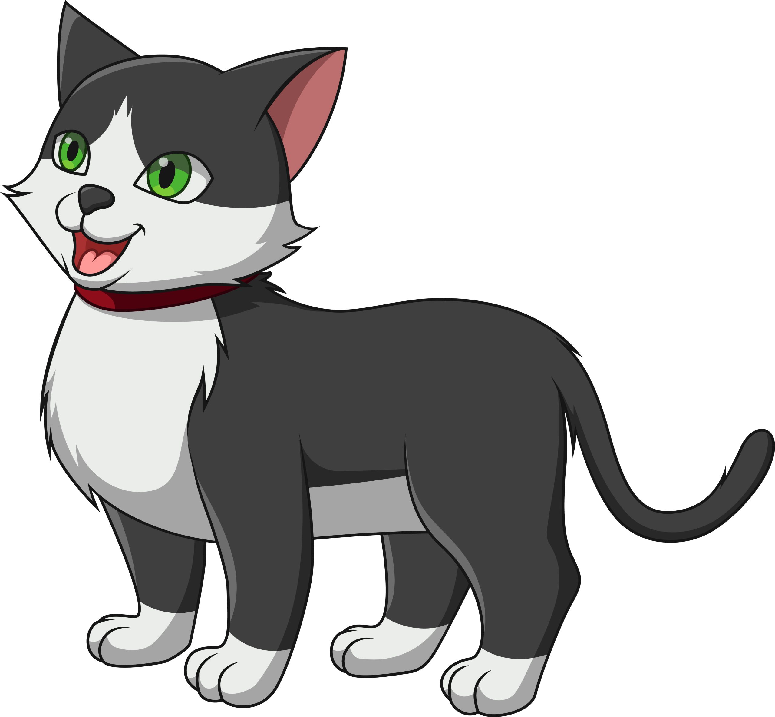 Cat illustration