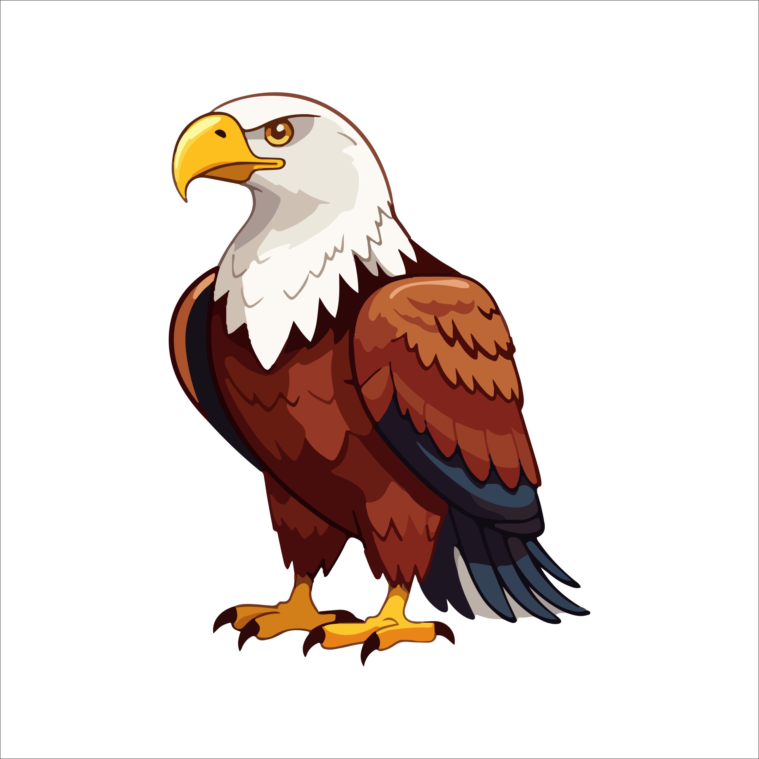 Eagle illustration