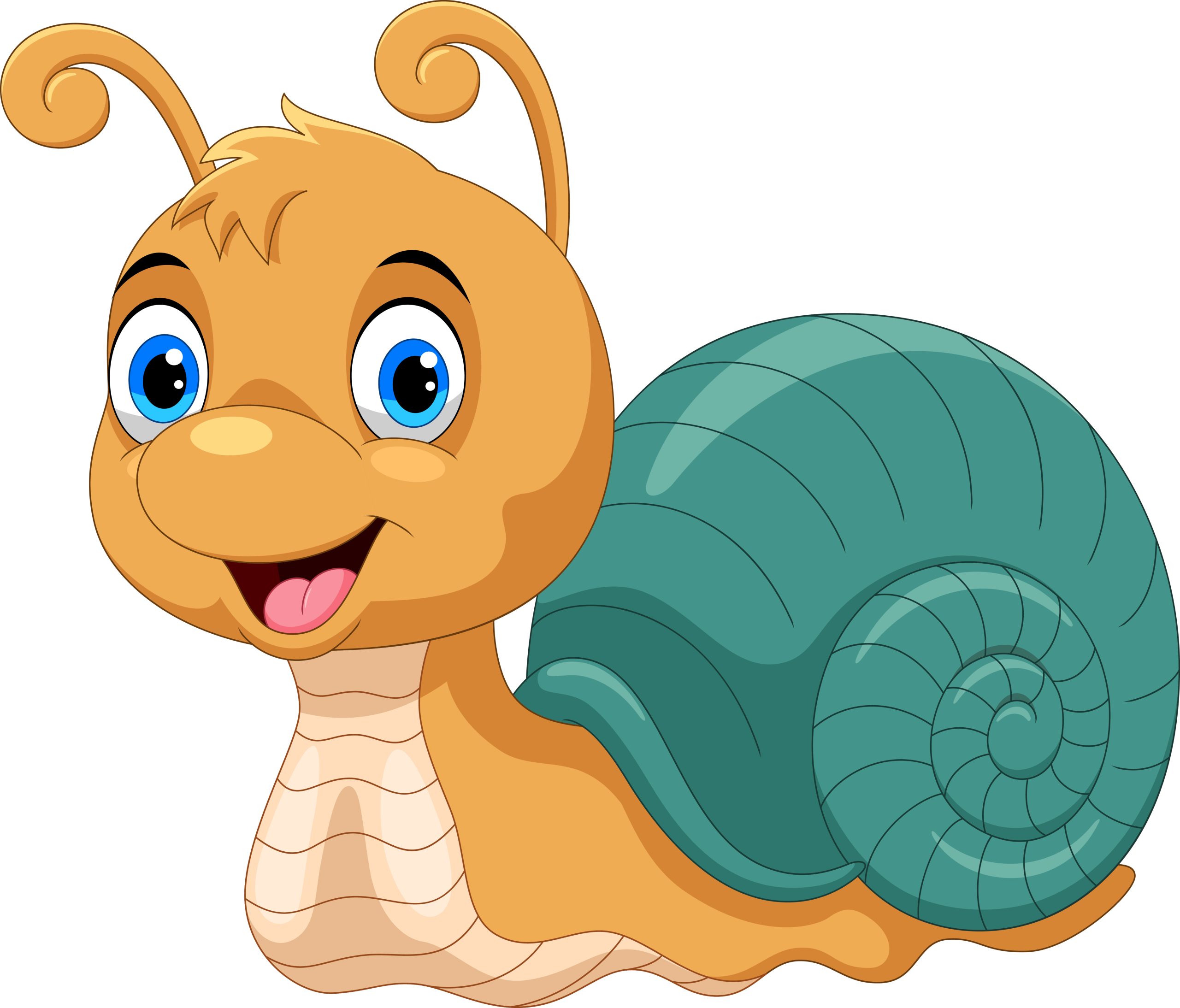Snail illustration