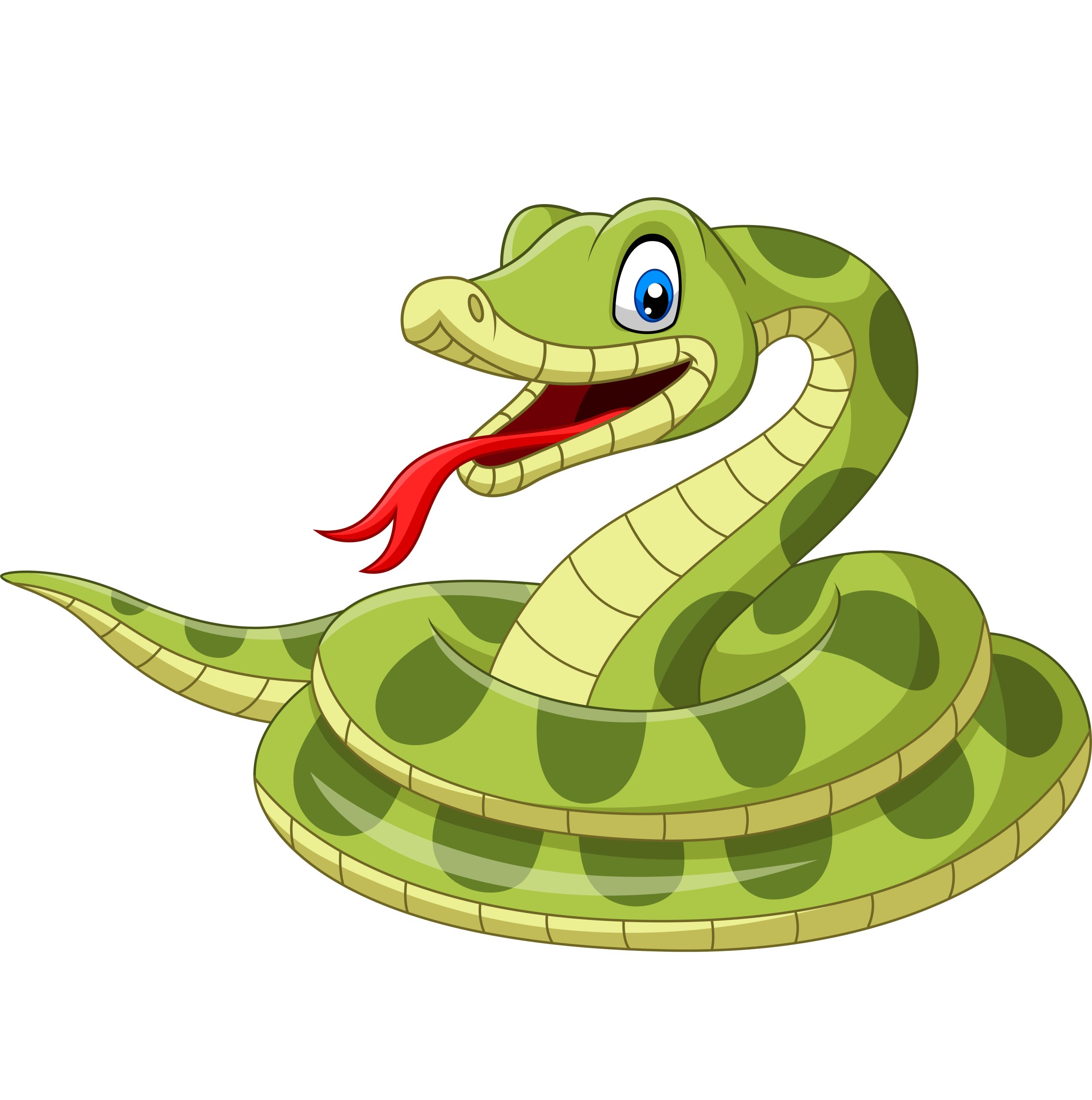 Snake illustration