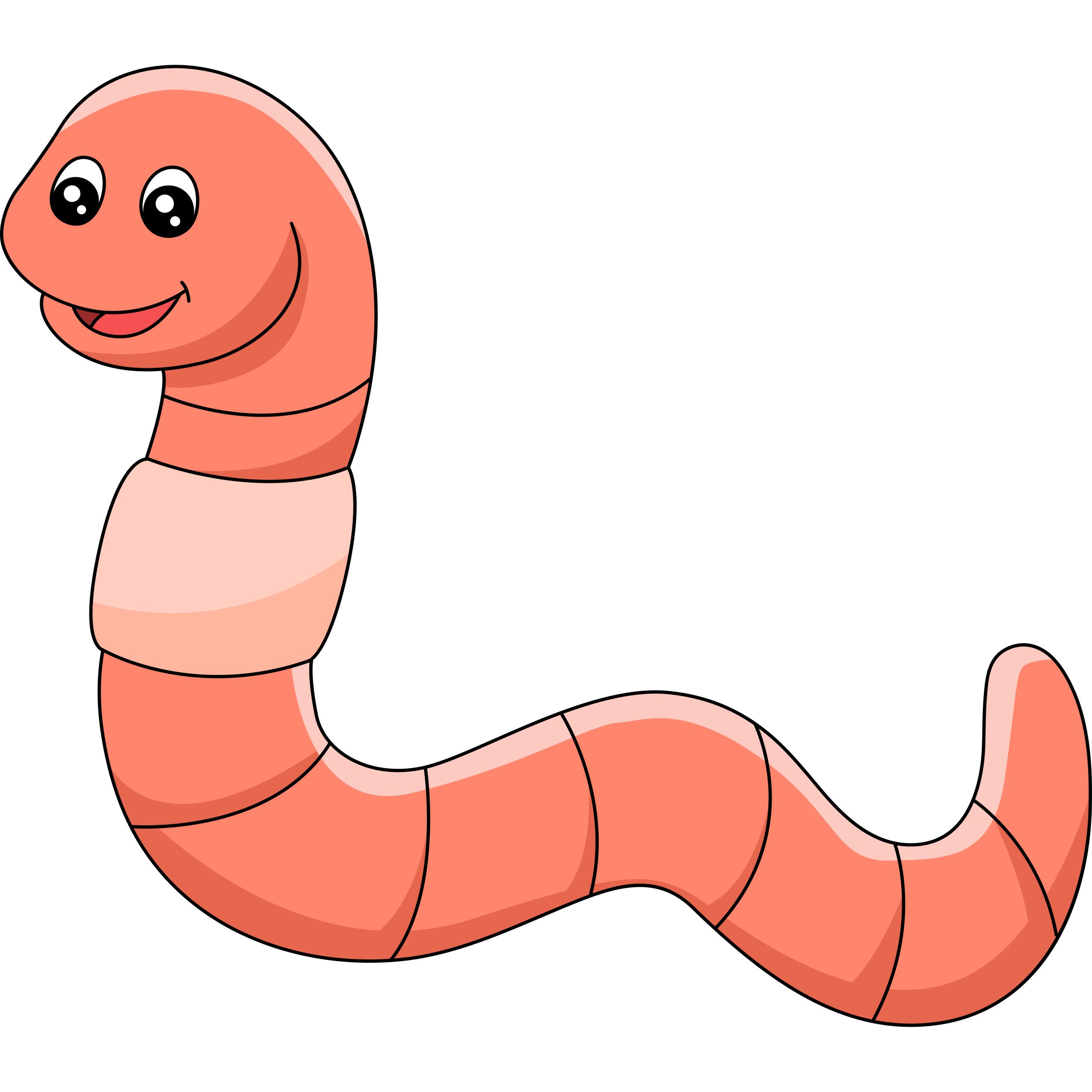 Worm illustration