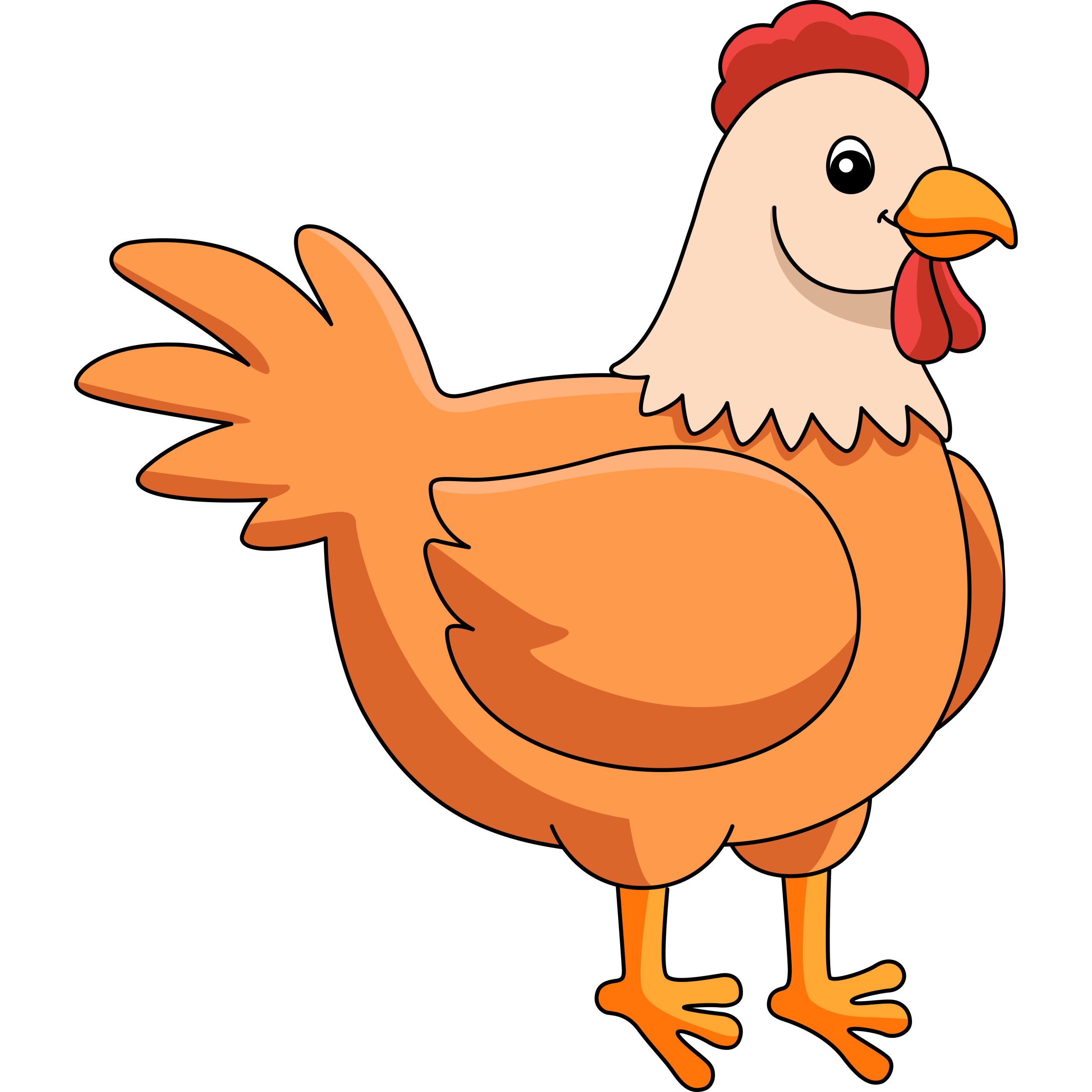 Chicken illustration